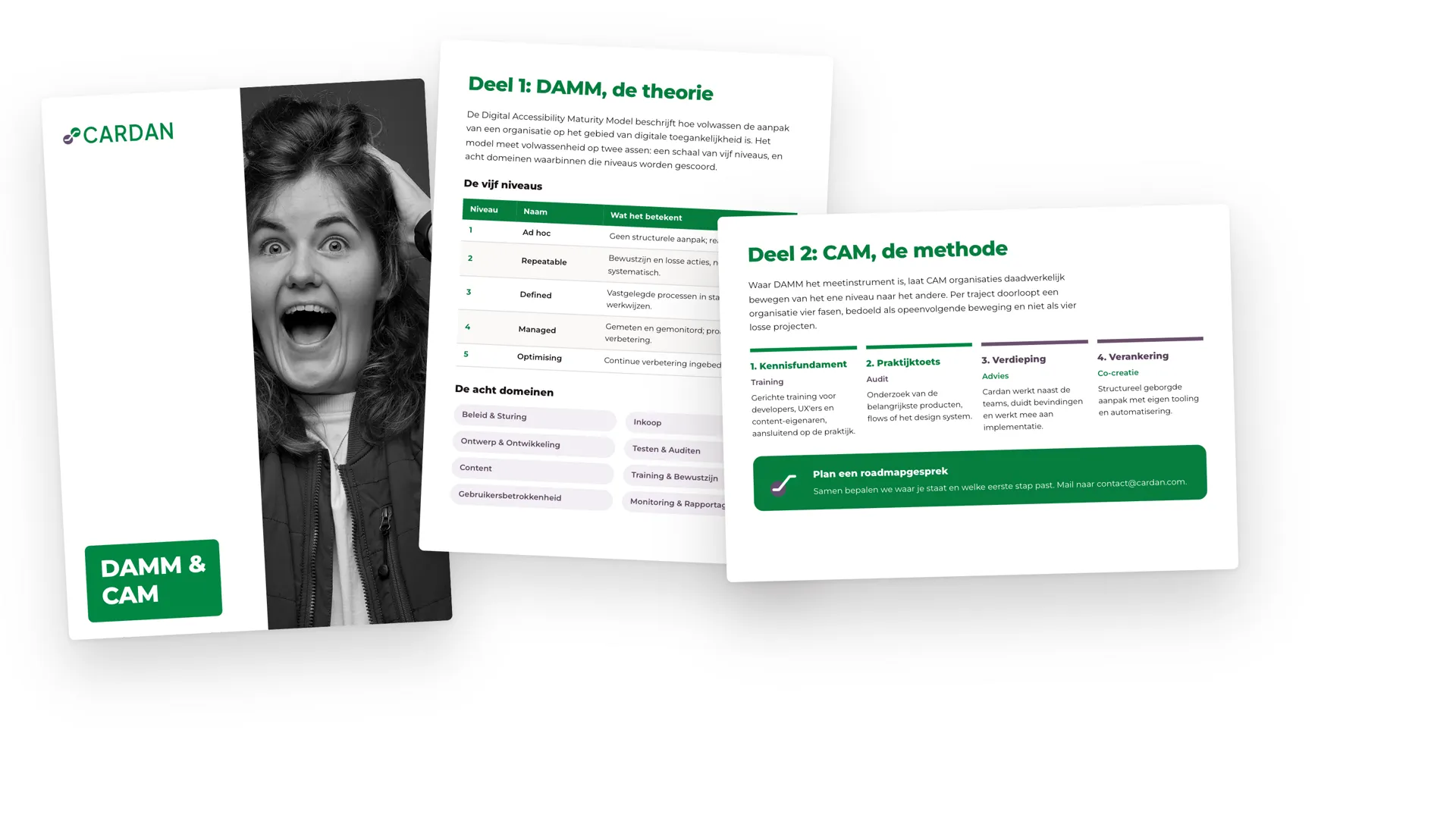 Pagina's van whitepaper over DAMM en CAM