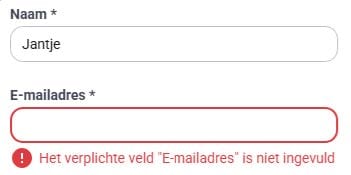Voorbeeld van een toegankelijke foutmelding waarbij het ongeldige invoerveld een dikkere rode rand krijgt, een fouticoon en een goed beschrijvende foutmelding